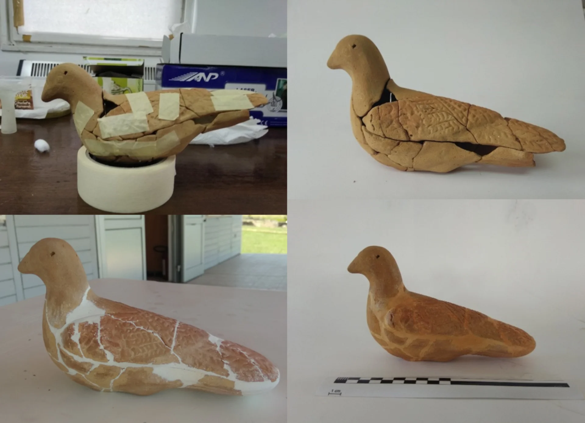 Гулабица колаж